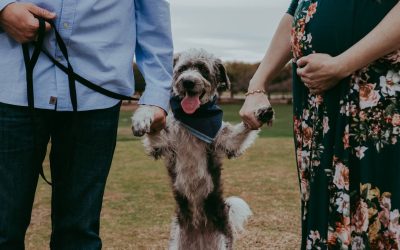 Babies & Pups: Creating a Bond for Life